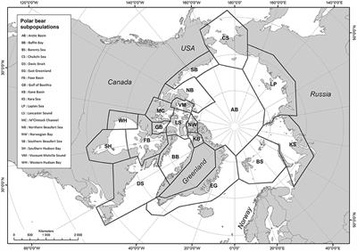Polar Bear Harvest Patterns Across the Circumpolar Arctic